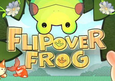 H2x1_NSwitchDS_FlipOverFrog_image1600w