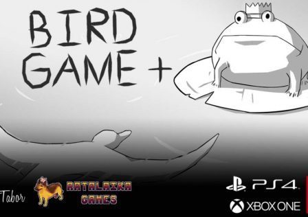 bird-game