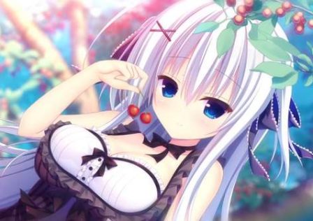 medium_imn