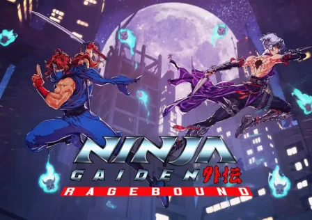 Ninja-Gaiden-size