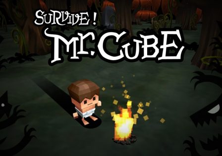 survive-mr-cube